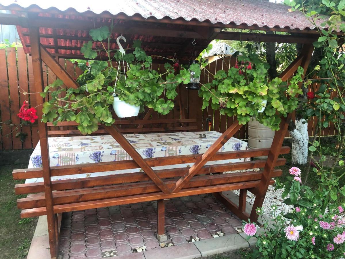 Casa Todea Hotel Cimpeni Luaran gambar